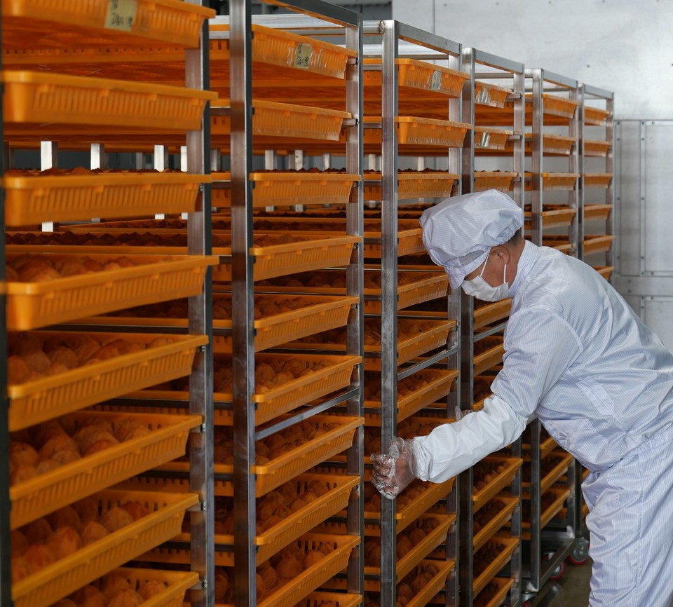 산림청의 ‘임산물 수출특화지역 공모사업’ 대상자로 선정된 농업회사법인 감코리아가 감을 건조하고 있다.