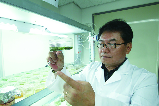 신현웅 순천향대 자연과학대학장