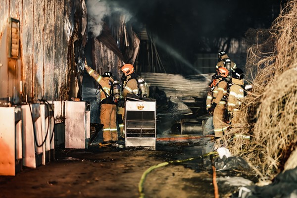 지난 29일 오후 5시 56분께 충북 괴산군 사리면의 한 돈사에서 불이 났다. (사진제공=충북소방본부)