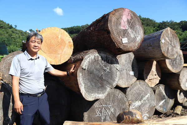 한옥 건축용으로 구입해 둔 원목 앞에 선 한진석 대표. 그는 무형문화재 대목장 등재를 통해 한옥건축의 후학양성에도 더 큰 힘을 쏟고 싶다