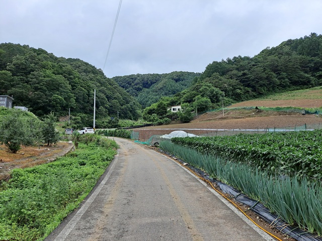 고 황창배 화백이 생애 마지막 10년 창작의 열정을 불태운 백봉리 작업실이 저 멀리 보인다. 