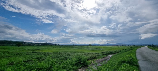 백마강 국가정원 부지