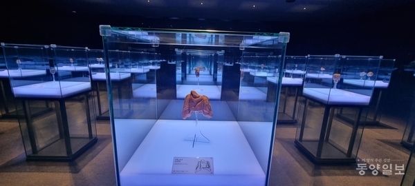 정림사지 박물관 1 전시실. 사진=도복희 기자