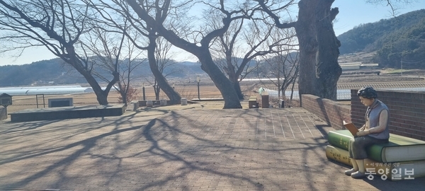 송정그림책마을 입구 여러 그루의 느티나무 아래 책읽는 주민상이 정겹다.  