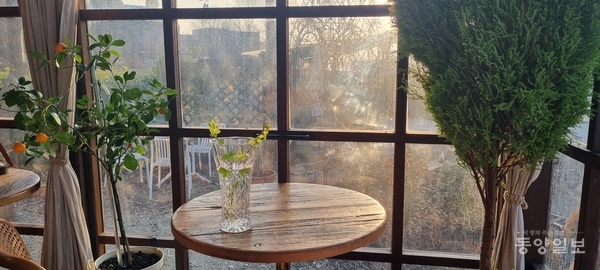 사진 도복희 기자