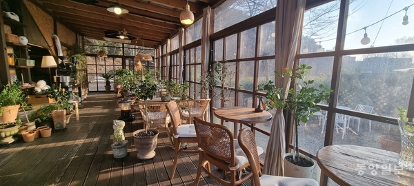 사진 도복희 기자