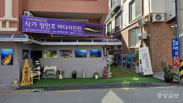 ▲사택 건물 외벽에 작품을 전시해 행인 누구나 잠시 멈춰 감상할 수 있도록 만든 24시간 개방형 갤러리 둥지향.