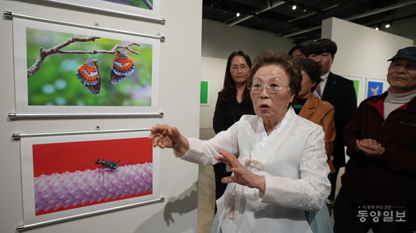 사진 손상훈 기자.