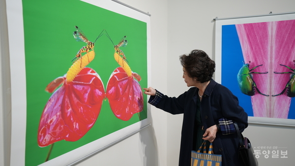 자연과 생명의 경이로움에 몰두하고 있는 관람객.