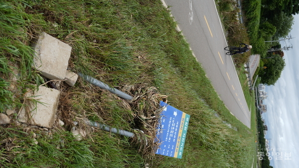 20일 청주시 서원구 무심천변에 폭우로 강변에 설치된 표지판이 땅에 눕듯 쓰러져 있다. [사진=손상훈 기자]