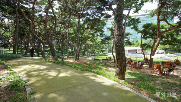 솔밭근린공원 전경