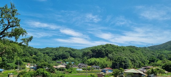 임벽당정원에서 내려다보이는 마을안 풍경