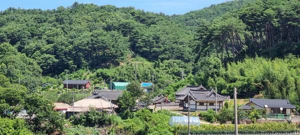 임벽당정원에서 내려다보이는 마을안 풍경
