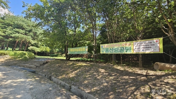 ▲ '구룡유아숲체험원' 현수막 아래 데크계단을 올라서면 첫번째 시유지(평지)가 나온다.