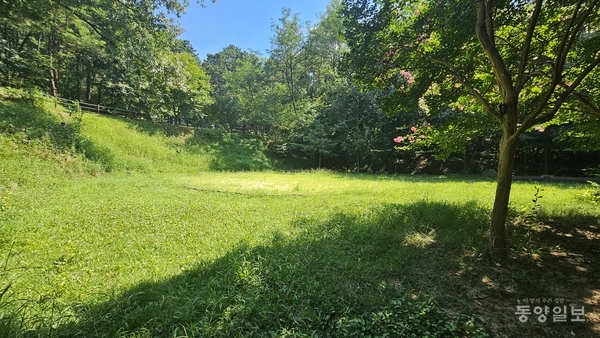 ▲ '구룡유아숲체험원'이 있는 국유림 내에는 이런 평지(시유지)가 계단 형태로 네 곳이 연결돼 있다.