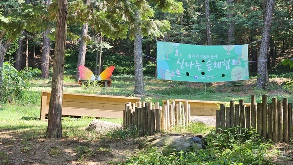 ▲ 구룡 유아숲체험원 어린이 체험장 전경