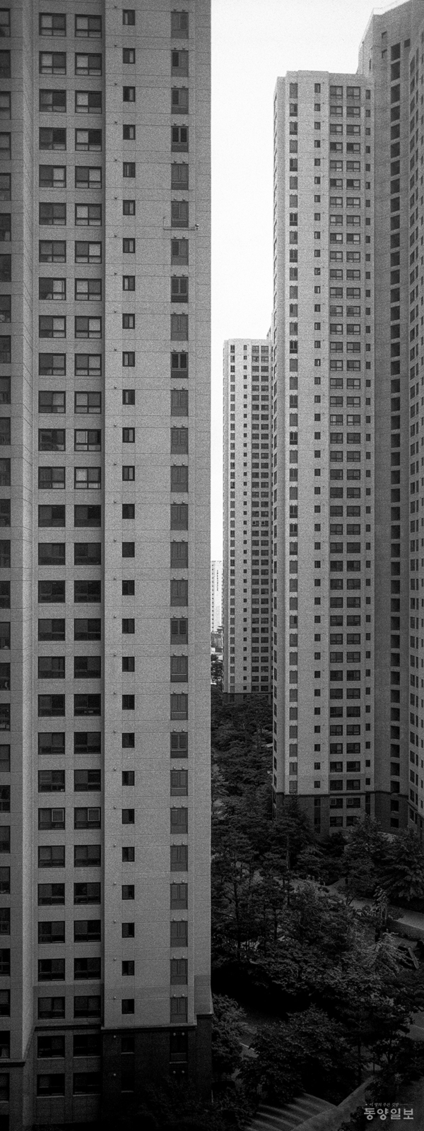 ▲몰라르 졸탄 작