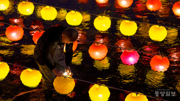 ▲ ‘2025 무심천 직지유등문화제’가 오는 20일 오후 6시 무심천 체육공원에서 열린다. 사진은 지난해 무심천에 뜬 유등 모습.