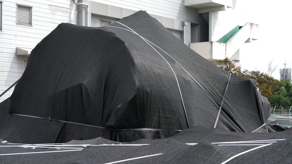 지난해 12월 29일 발생한 제주항공 참사 비행기 2216편이 무안공항 내 방치돼 있다. /사진 손상훈 기자