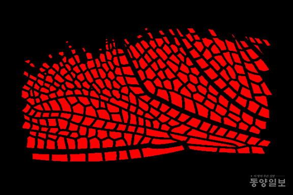 ▲문상욱作_ 프랙탈, 90x60cm, Pigment Print, 2025