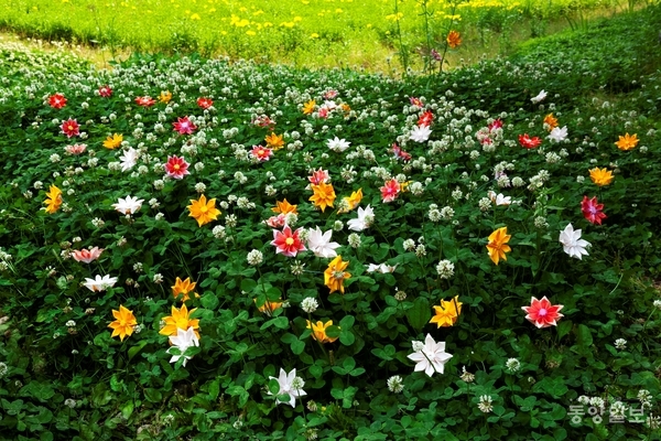 ▲홍인숙作_ 풍경정원 #7, 600x900mm, pigment print, 2025