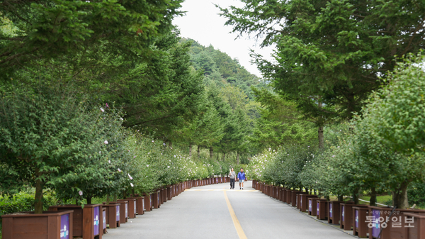 미동산수목원 전경.