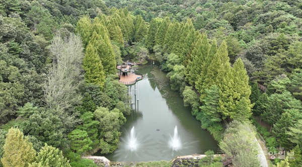미동산수목원 전망대.