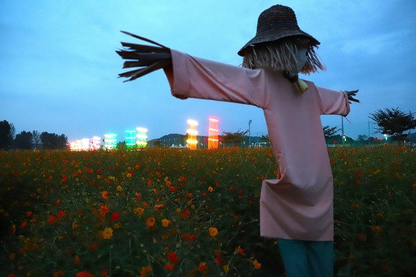 허수아비가 세워진 꽃밭과 황포돛배가 어우러져 낭만적인 풍경을 자아낸다. [사진 도복희 기자]