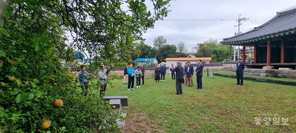 석성동헌 탱자나무 ▲ 천연기념물로 지정된 석성동헌 탱자나무에 관해 설명을 듣고 있다.