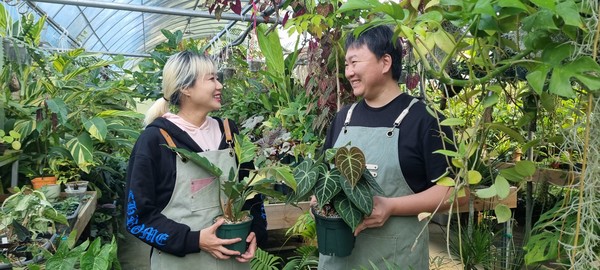티쭈 농원 송일권 대표가 그의 여자친구 최지희 씨와 식물 이야기를 나누며 즐거워하고 있다.