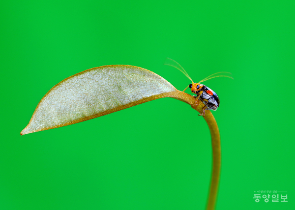 ▲조유성 작 #33
