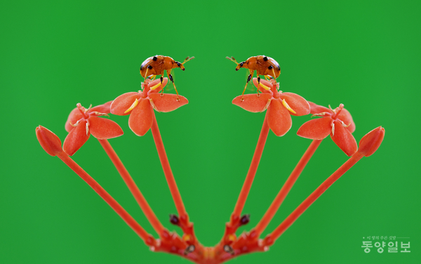 ▲조유성 작 #67