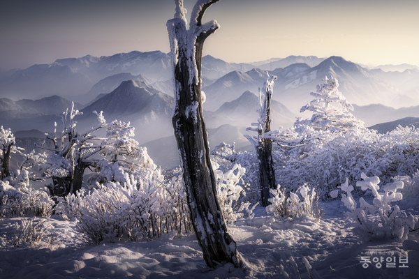 ▲ 박정식 작 '설경의 태백산'. 충북도 제공