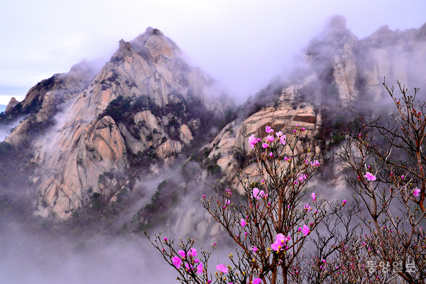 ▲남기문 작 '북한산_봄이 오는 소리'