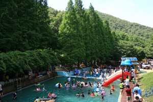 칠갑산휴양림 내 수영장에서 관광객들이 물놀이를 즐기고 있다.