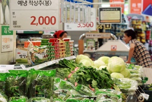 계속되는 폭염에 채소 가격이 폭등하고 있다. 8일 유통업계에 따르면 이례적인 고온 현상이 이어지며 푸른잎 채소를 중심으로 채솟값이 큰 폭으로 오르고 있다. 특히 여름 식탁에 단골로 오르는 시금치와 상추 등 가격이 한 달 전과 비교해 배 가까이 상승했다. 이날후 서울시내 한 대형마트에서 판매되는 상추 1봉(150ｇ) 가격이 지난달 1천원에서 두 배 뛴 2천원을 나타내고 있다.
