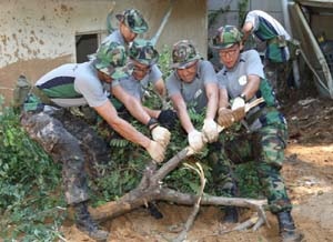 육군 32사단 장병들이 태안군 소원면 모항항에서 폭우로 쓰러진 나무를 일으켜 세우기 위해 안간힘을 다하고 있다.