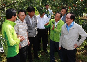 서규용 농림수산식품부장관이 지난달 31일 괴산군 장연면 사과밭과 인삼밭을 방문해 태풍 피해 상황을 살피고 있다.