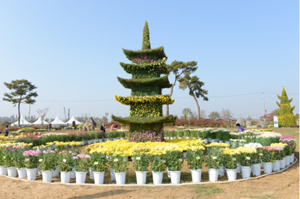 9회 굿뜨래 국화전시회 장면.