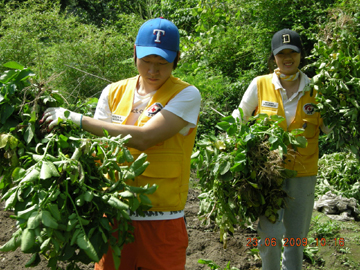 지난 2010년 성암마을에서 하계농촌봉사활동을 벌이고 있다.