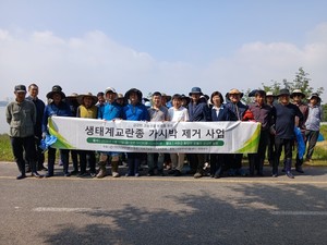 금강 삼키는 '생태계 포식자' 가시박... 서천 민·관, 폭염 속 1천 평 사... - 뉴스 썸네일 이미지