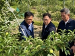 충북농협, <b>우박</b> 피해 현장 긴급 점검